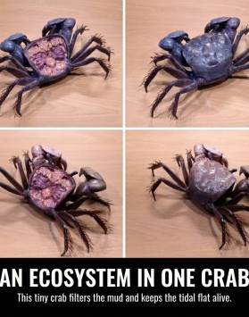AN ECOSYSTEM IN ONE …